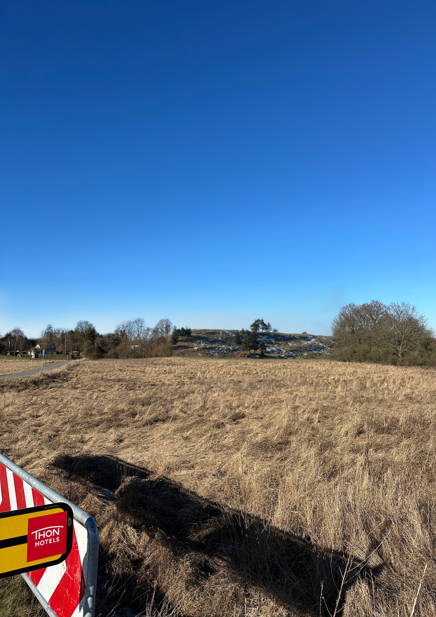 landscape render of the Sorø Støjvold noise barrier planting through the seasons